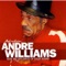 Chrysler 300 - Andre Williams lyrics