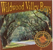 Wildwood Valley Boys - Somebody's Brother