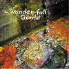 The "Wonder-Fall" Quartet