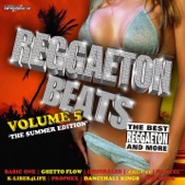 Reggaeton Beats, Vol. 5