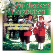 Die Wildecker Herzbuben - Herzilein