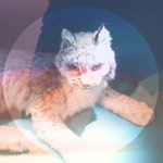 Take My Hand And Lead Me Home