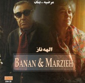 Marzieh & Banan 1: Elahe Naz artwork