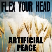 Flex Your Head