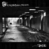 Made of Steel / Broken Stars - Single