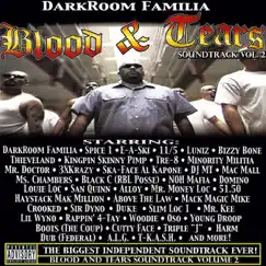 Blood and Tears Soundtrack, Vol. 2 of 2 by DarkRoom Familia album reviews, ratings, credits