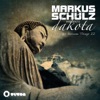 Thoughts Become Things 2 (Markus Schulz Presents Dakota)