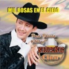 Mil Rosas en el Cielo
