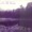 In The Woods - Heart Of The Ages