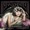 Selena Gomez & The Scene - Fantasma de amor