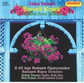 Budapest Gypsy Orchestra - Johannes Brahms: VII. magyar tánc - Johannes Brahms: Hungarian Dance No. 7