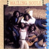 The Wailing Souls - Down On The Rocks