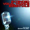 Extended Vocal Trance Essentials, 2008