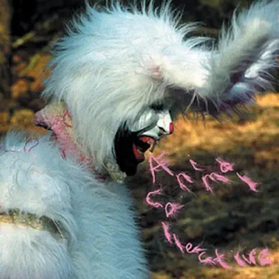 Who Could Win a Rabbit - Single - Animal Collective