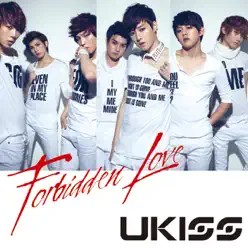 Forbidden Love - Single - U-Kiss