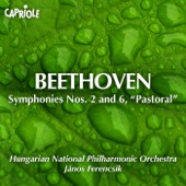 Hungarian National Philharmonic Orchestra - Symphony No. 6 in F Major, Op. 68 "Pastoral": III. Allegro