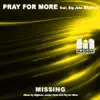 Missing (feat. Big John) - EP album lyrics, reviews, download