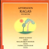 Afternoon Ragas, Vol. 1 artwork