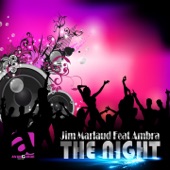 The Night (feat. Ambra) [Radio Edit] artwork