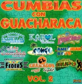 Cumbias Con Guacharaca, Vol. 2