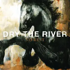 No Rest - Single - Dry The River