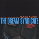 The Dream Syndicate - See That My Grave Is Kept Clean