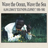 Neal Morris - Wave the Ocean