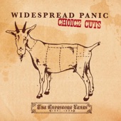 Widespread Panic - Weight of the World