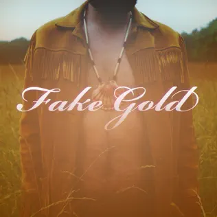 Album herunterladen Tigercity - Fake Gold