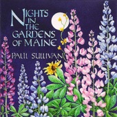 Paul Sullivan - Fireflies