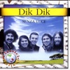 Dik Dik, 1999