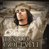 David & Goliath, 2009