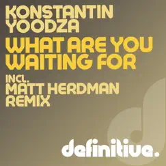 What Are You Waiting For? - Single by Konstantin Yoodza album reviews, ratings, credits