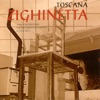 Toscana: Zighinetta - Sonate e canti per il ballo imparati e interpretati a orecchio in Val di Sieve, 2008