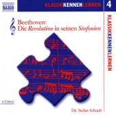 Stefan Schaub - Beethoven: Die Revolution in seinen Sinfonien: Der Geist der frühen Bonner Jahre vollendet sich in der Neunten