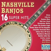 16 Super Hits: Nashville Banjos artwork