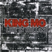 Live In Holland artwork