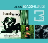 Alain Bashung - La Nuit Je Mens