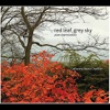 Red Leaf, Grey Sky (Piano Improvisations) - EP