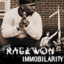 IMMOBILARITY cover art