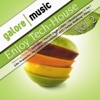 Enjoy Tech-House ! Vol. 2, 2011