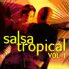 Salsa Tropical Vol.1 album lyrics, reviews, download