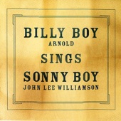 Billy Boy Arnold - Springtime Blues