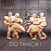 Tanecnica (The Dancer) artwork