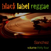 Black Label Reggae (Volume 34) artwork