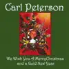 We Wish You a Merry Christmas and a Guid New Year album lyrics, reviews, download