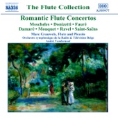 Flute Concertos (Romantic) artwork