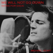 We Will Not Go Down (Song for Gaza) artwork