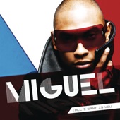 Miguel - Girls Like You