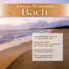 Violin Concerto No.2 in E Major, BWV 1042: I. Allegro song lyrics